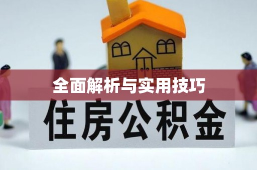 抚远全面解析与实用技巧