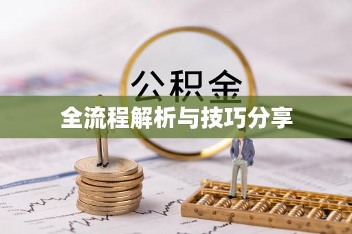 抚远全流程解析与技巧分享